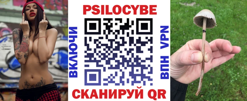 Галлюциногенные грибы GOLDEN TEACHER  Красково 